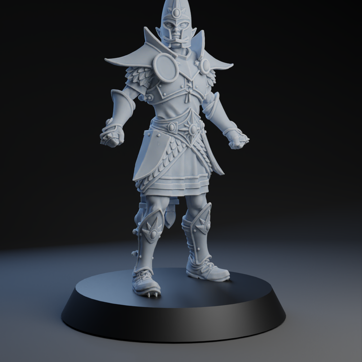 Brutefun Noble Elf Fantasy Football Team