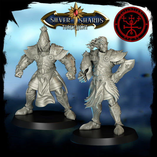 Torchlight THE SILVER SHARDS Fantasy Football Team