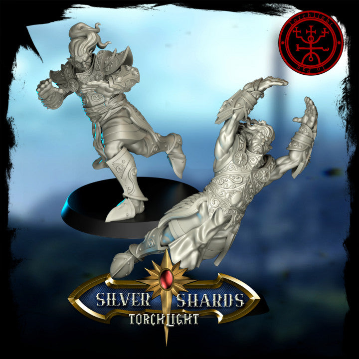 Torchlight THE SILVER SHARDS Fantasy Football Team
