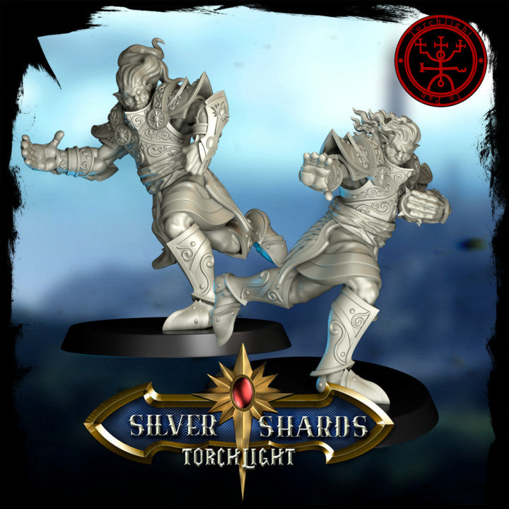 Torchlight THE SILVER SHARDS Fantasy Football Team