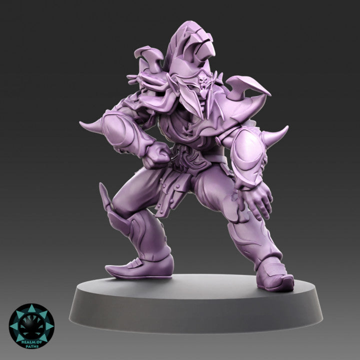 Realm of Paths Dark Elf Fantasy Football Team