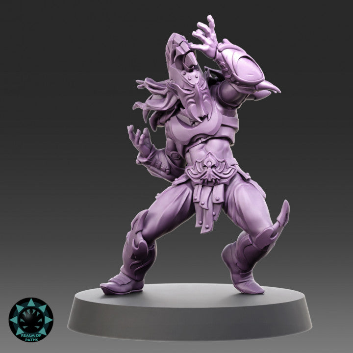 Realm of Paths Dark Elf Fantasy Football Team