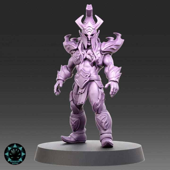 Realm of Paths Dark Elf Fantasy Football Team