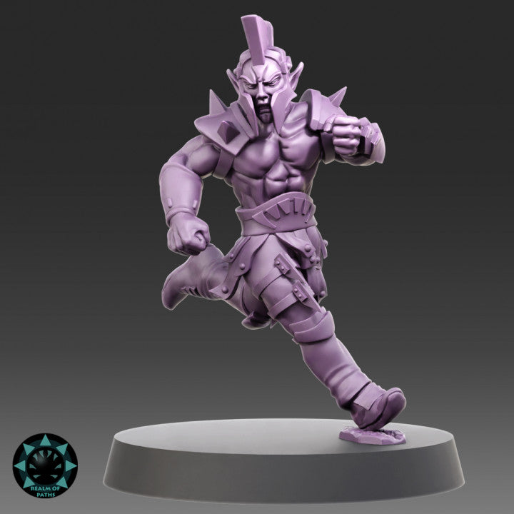 Realm of Paths Dark Elf Fantasy Football Team
