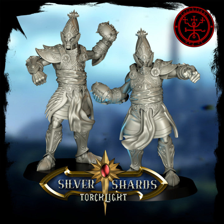 Torchlight THE SILVER SHARDS Fantasy Football Team