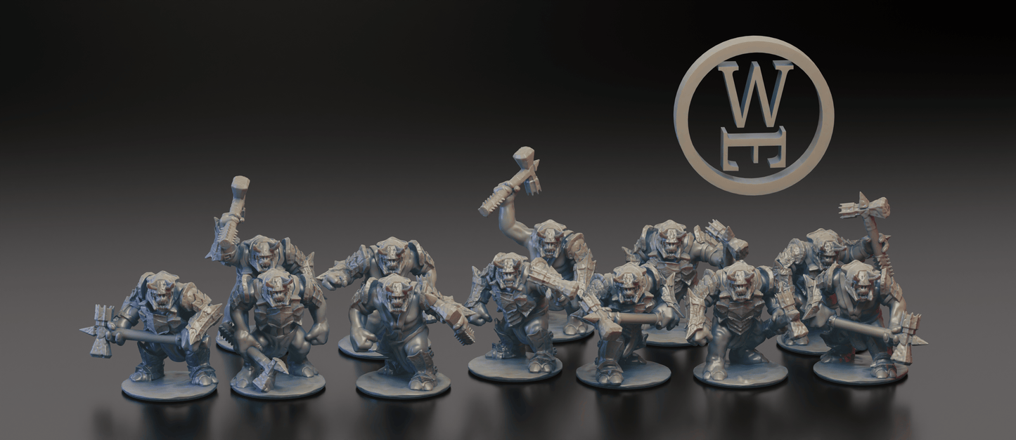 10mm Fantasy Battle Morghei Orc Army by Wake's Emporium