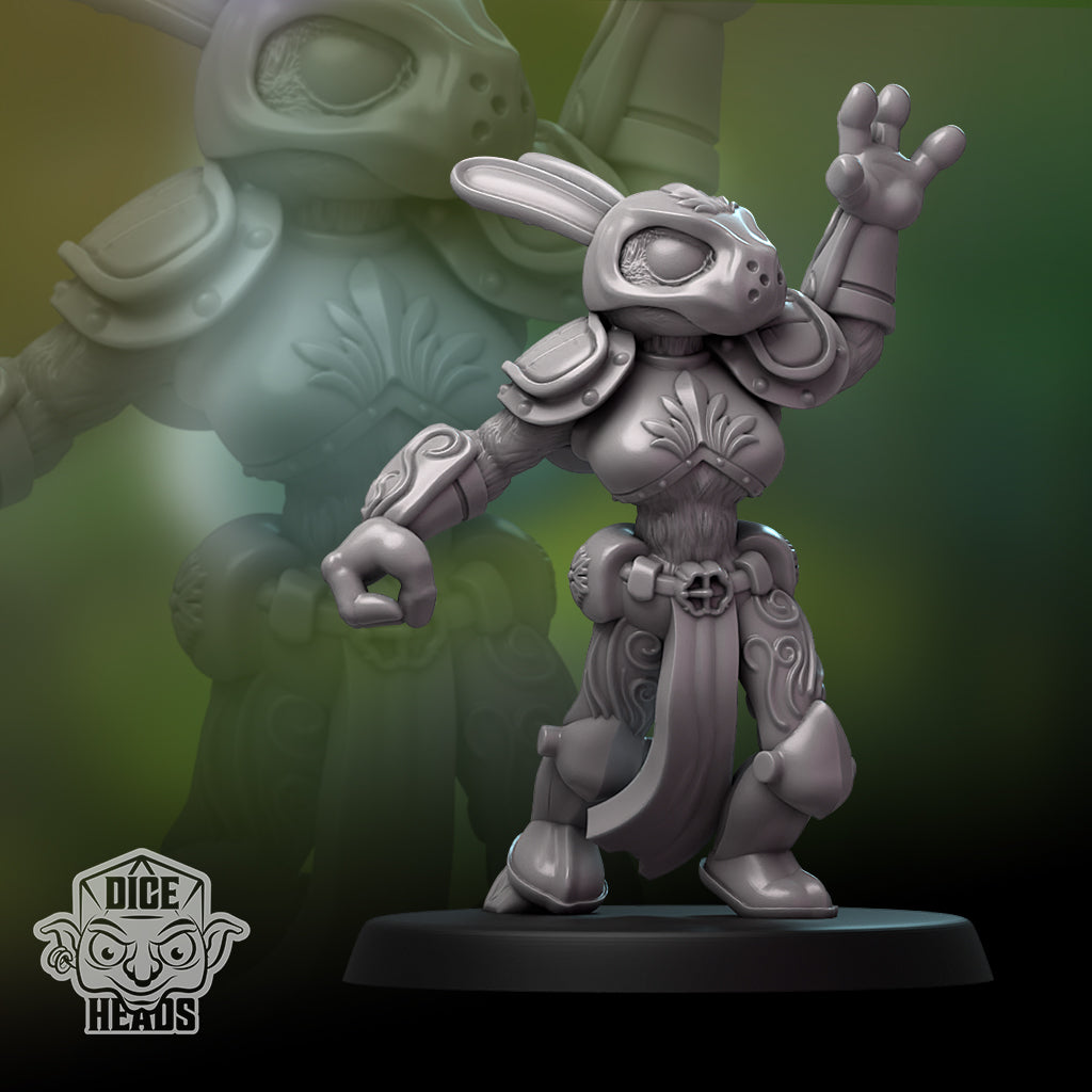 Dice Heads Ragin' Rabbits Fantasy Football Team