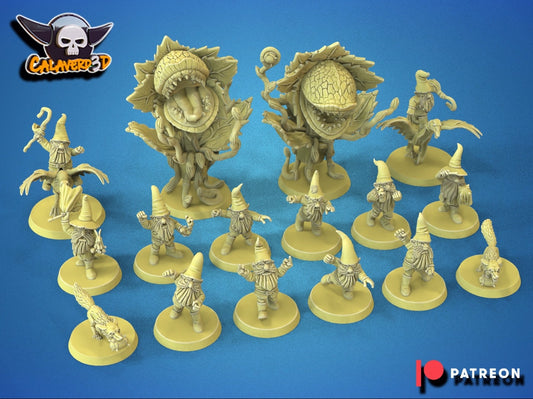 Calaverd3D Gnome Garden Bad Asses Fantasy Football Team