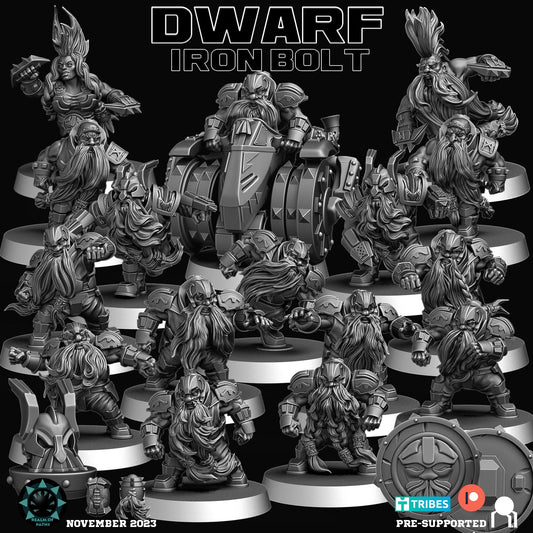 Realm of Paths Dwarf Fantasy Football Team