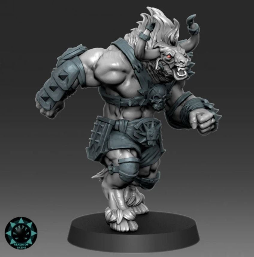 Fantasy Football Minotaurs