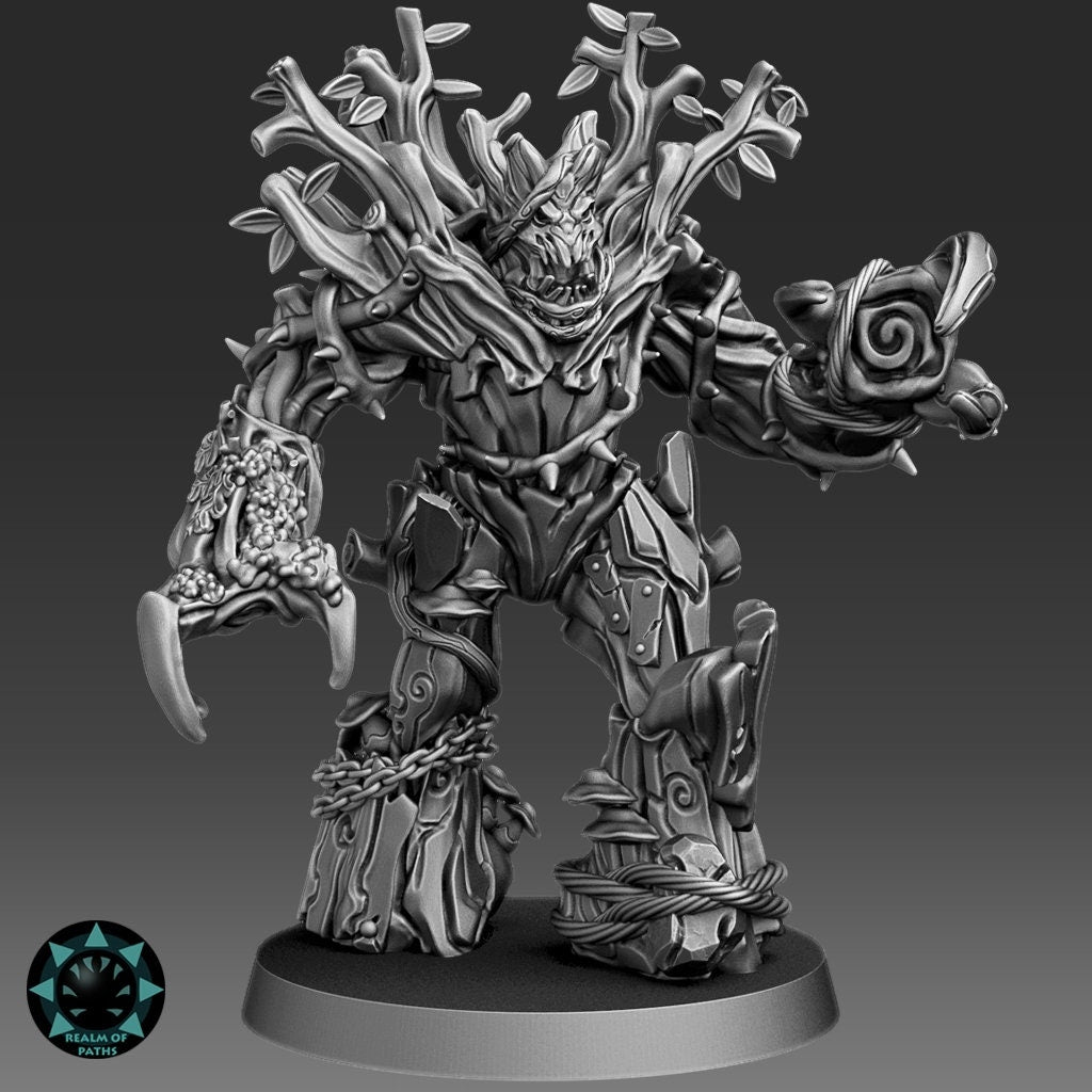 Realm of Paths Star Player Collection