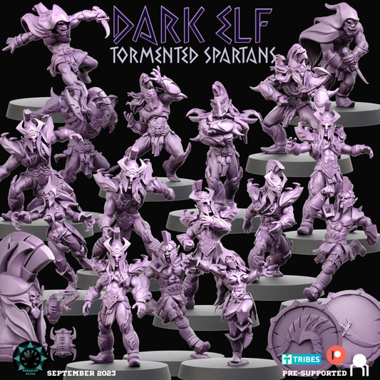 Realm of Paths Dark Elf Fantasy Football Team