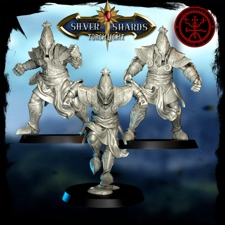 Torchlight THE SILVER SHARDS Fantasy Football Team