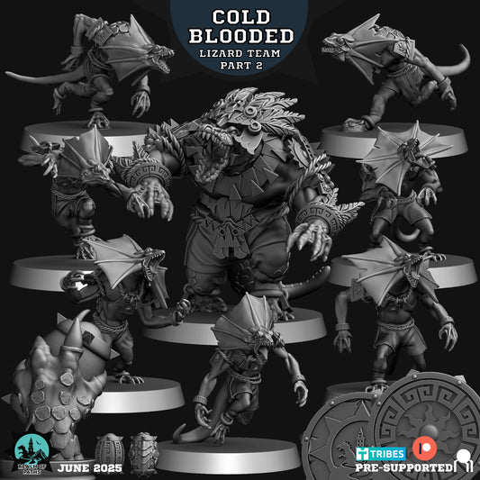 Realm of Paths Lizard Folk Cold Blooded Fantasy Football Team